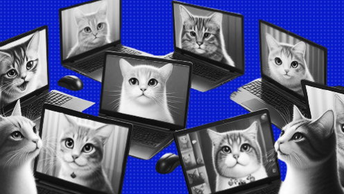 17 rules for online meetings