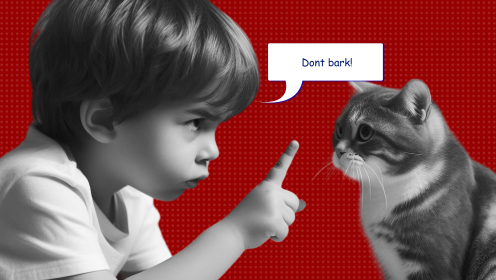 Behave normally: how not to conflict and resolve other people's disputes