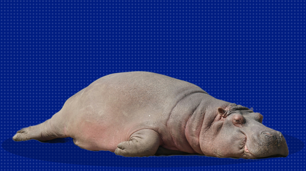 Голова не варит: 10+ советов, как предотвратить умственное переутомление