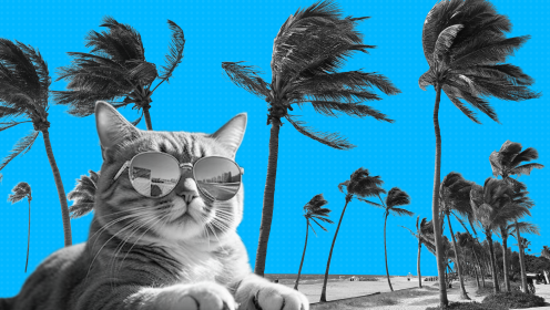 Как спланировать отпуск самостоятельно, чтобы реализовать всё задуманное