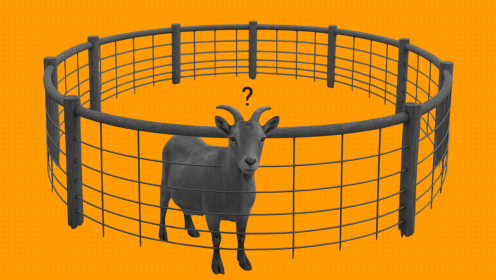 Ограничения проекта — что это, как определять и управлять