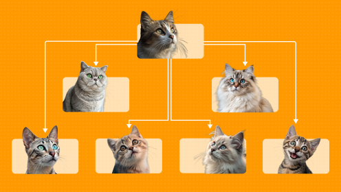 Организационная структура компании