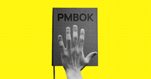 PMBOK. Библия проектного управления