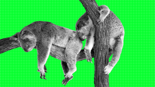 11 tips to improve your sleep quality