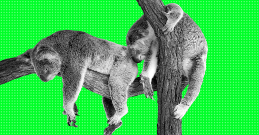 11 tips to improve your sleep quality