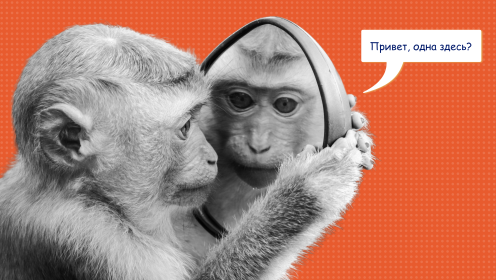 Внутренняя и внешняя мотивация – в чем разница?