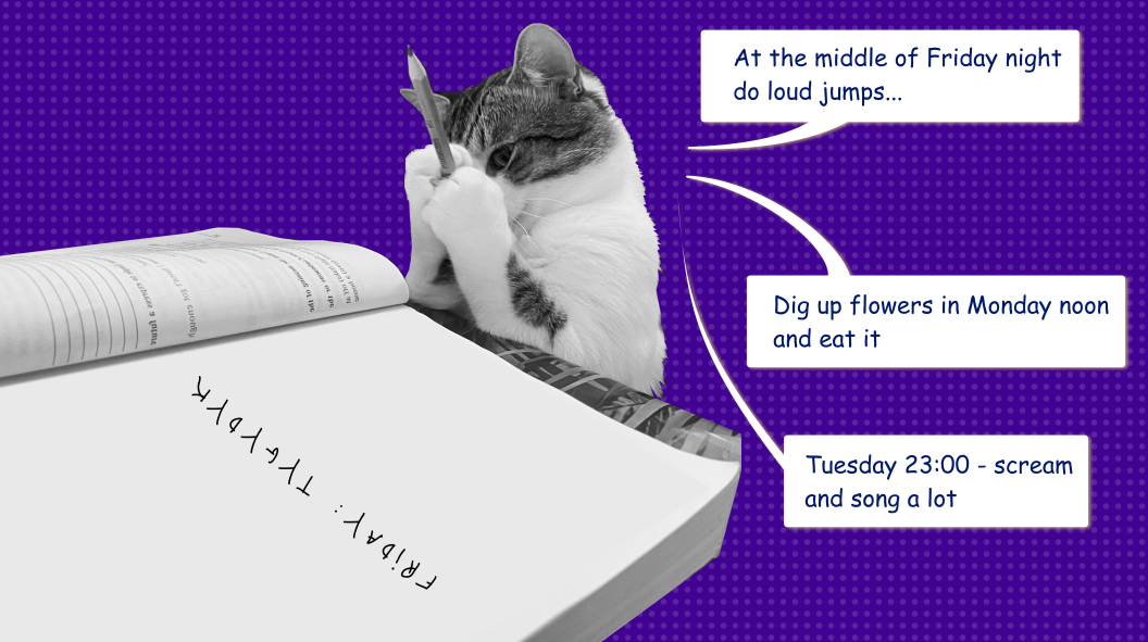 Weekly planning as a way to sort out the chaos and achieve goals