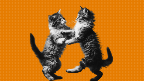 Why motivation is not always a good productivity instrument? Tips to determine your drive.