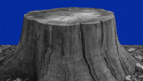 Жизненный цикл компании: зачем знать, как оценить этап развития бизнеса и что делать с этим знанием