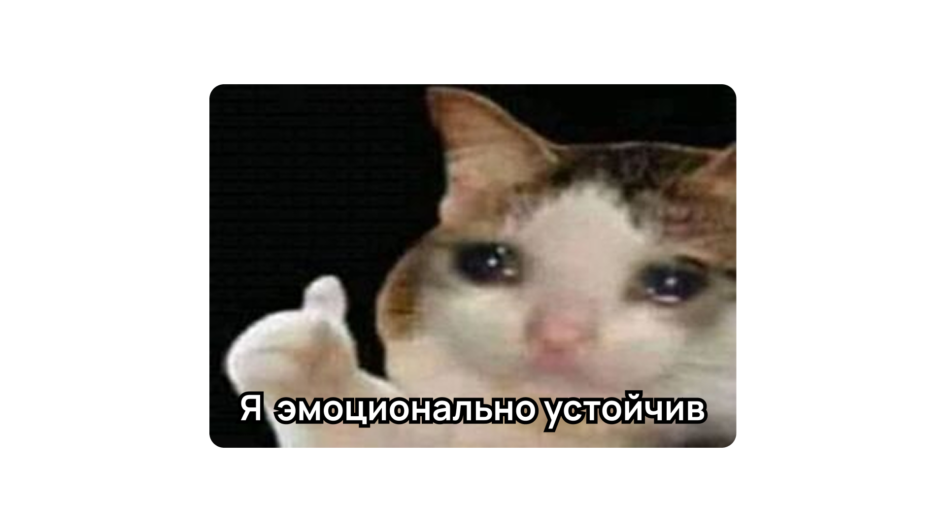 Эмоциональная устойчивость: как развить