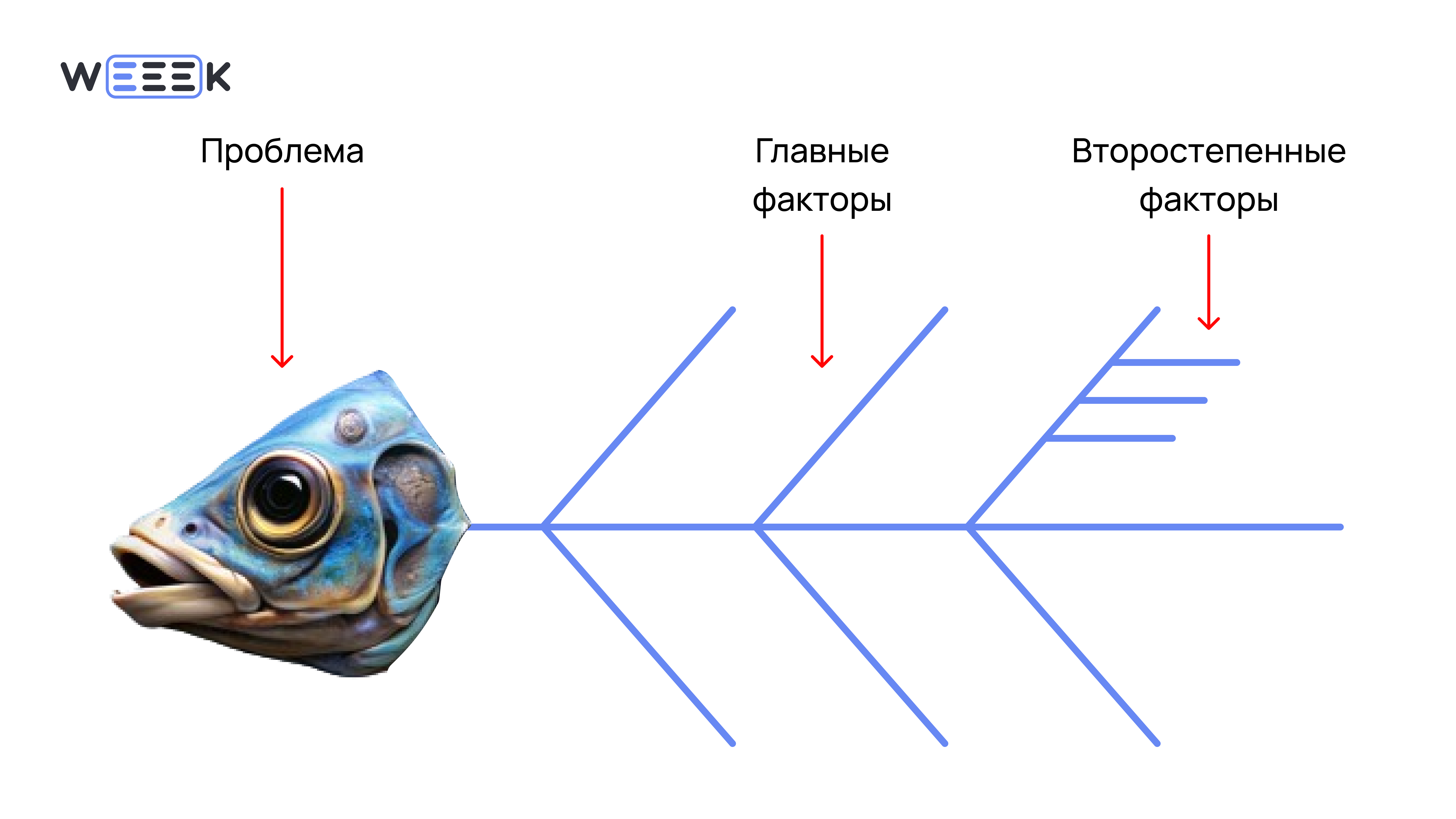 Диаграмма Исикавы для определения рисков