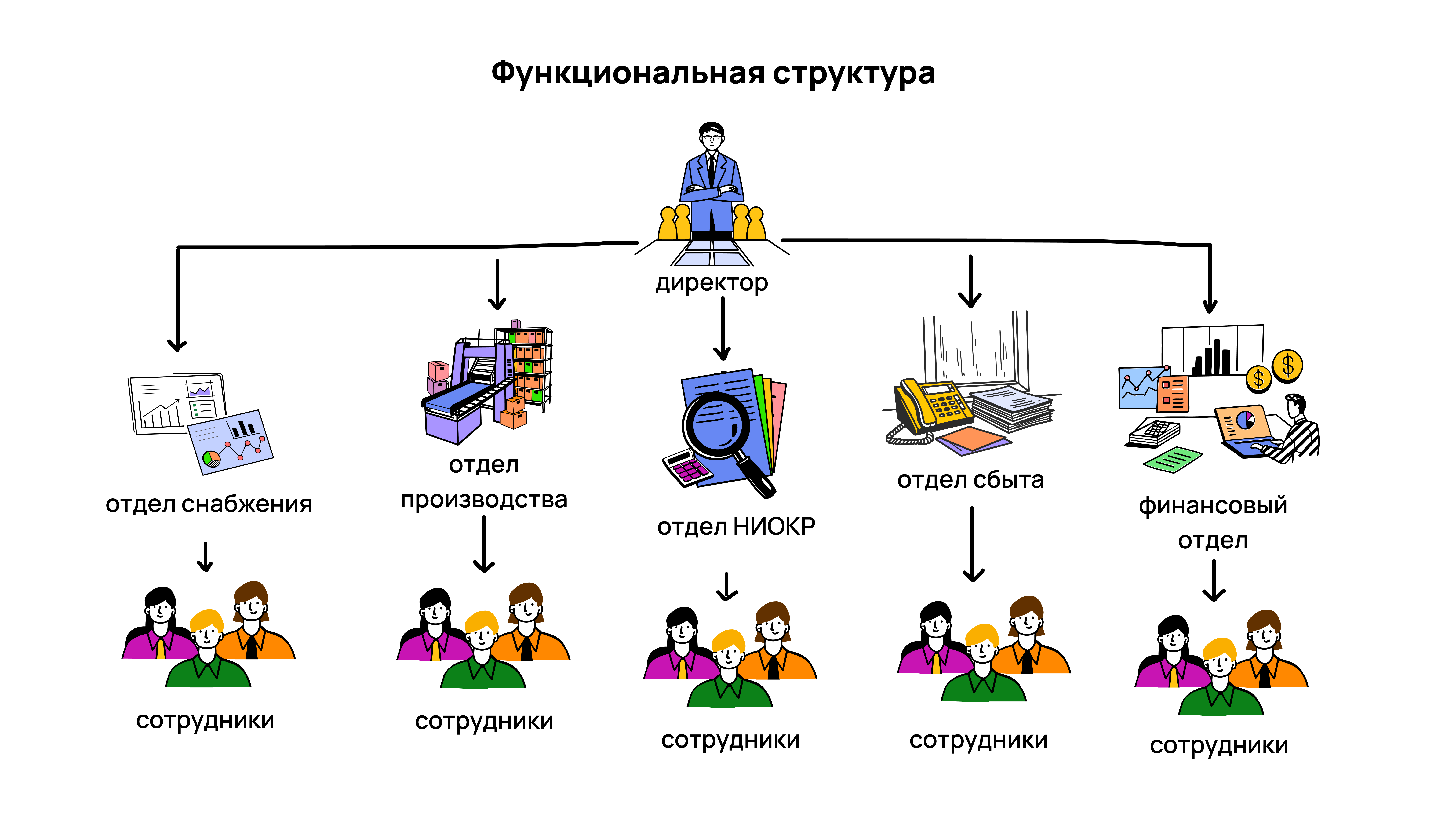 Визуальный пример функциональной структуры Что такое функциональная структура
