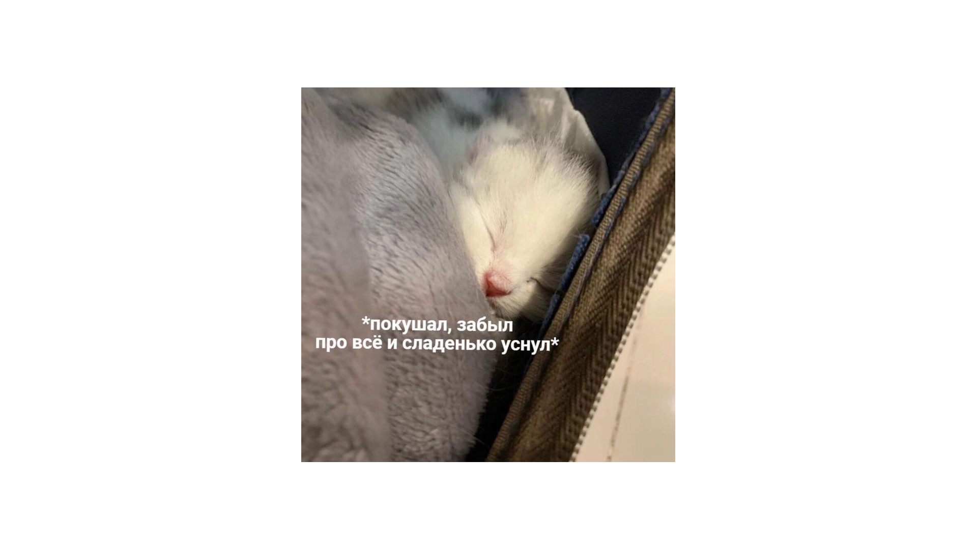 Мем про важность отдыха Мем про важность отдыха