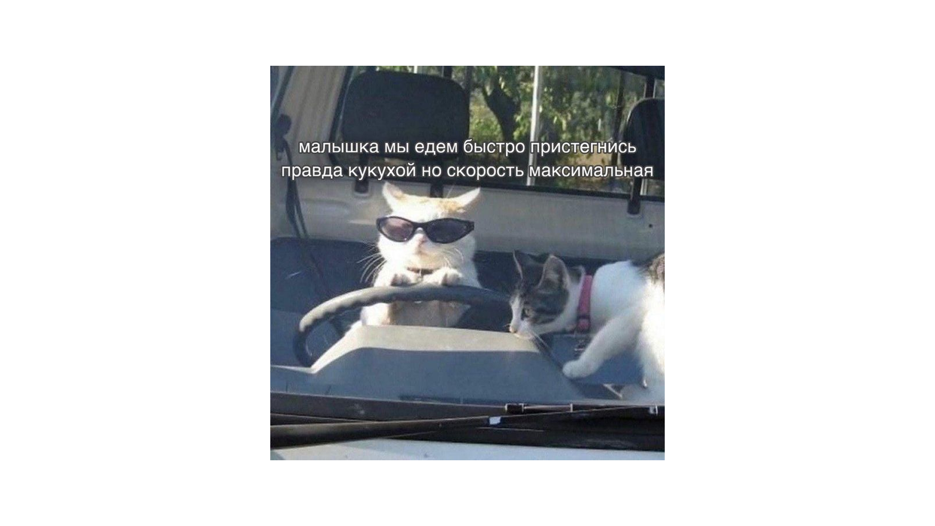Мем про выгорание Мем про выгорание
