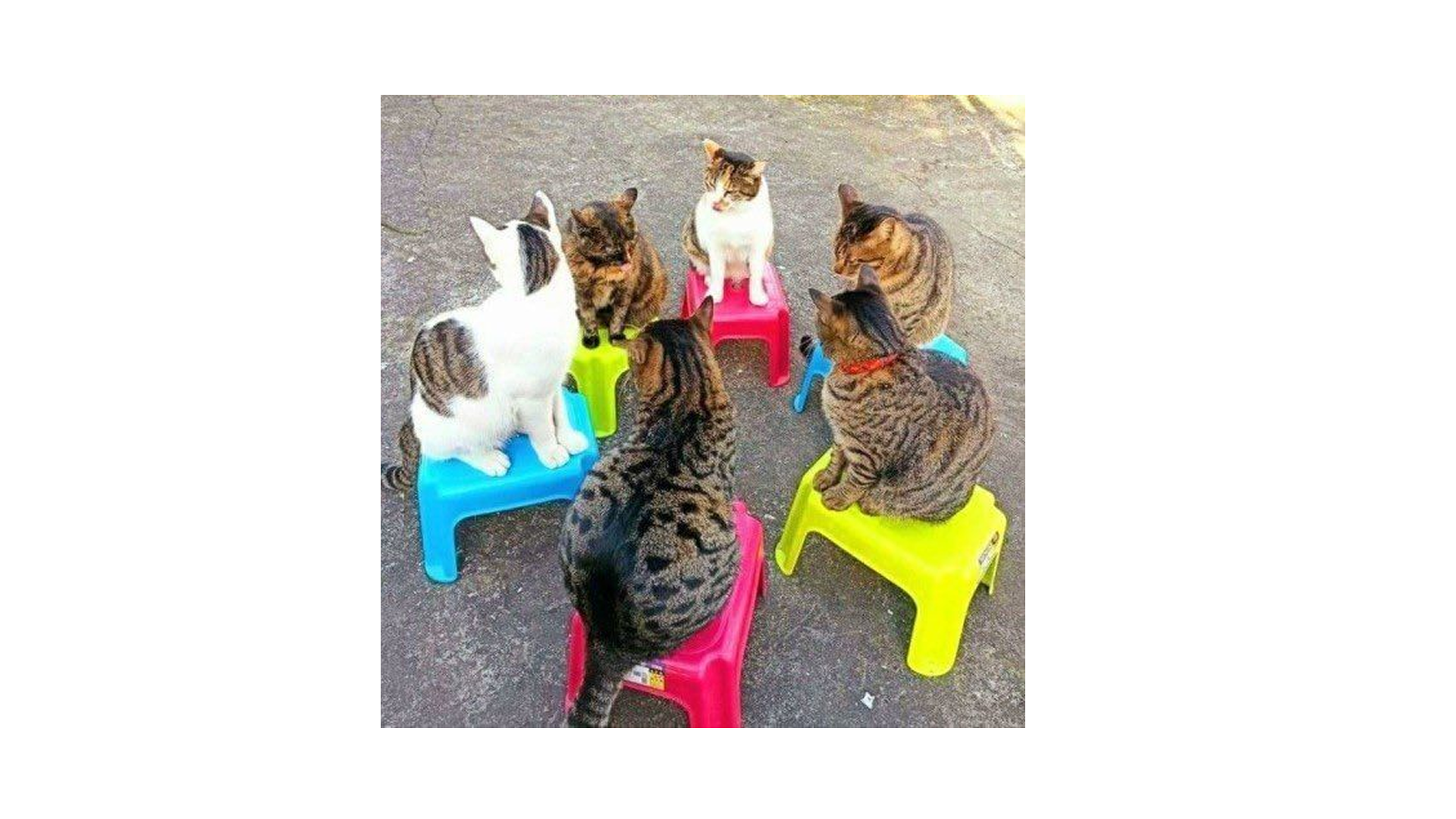 Мем с совещания по концепции Мем с совещания по концепции