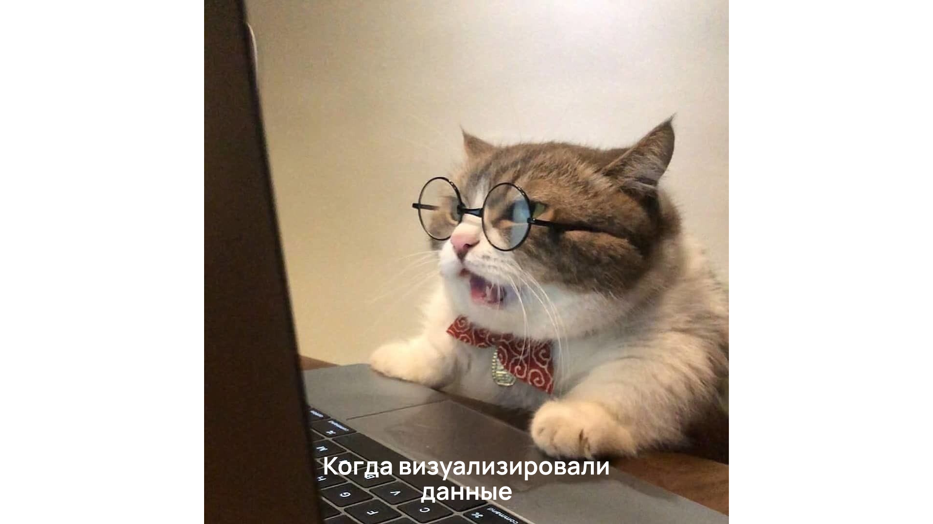 Мем с котиком Мем с котиком