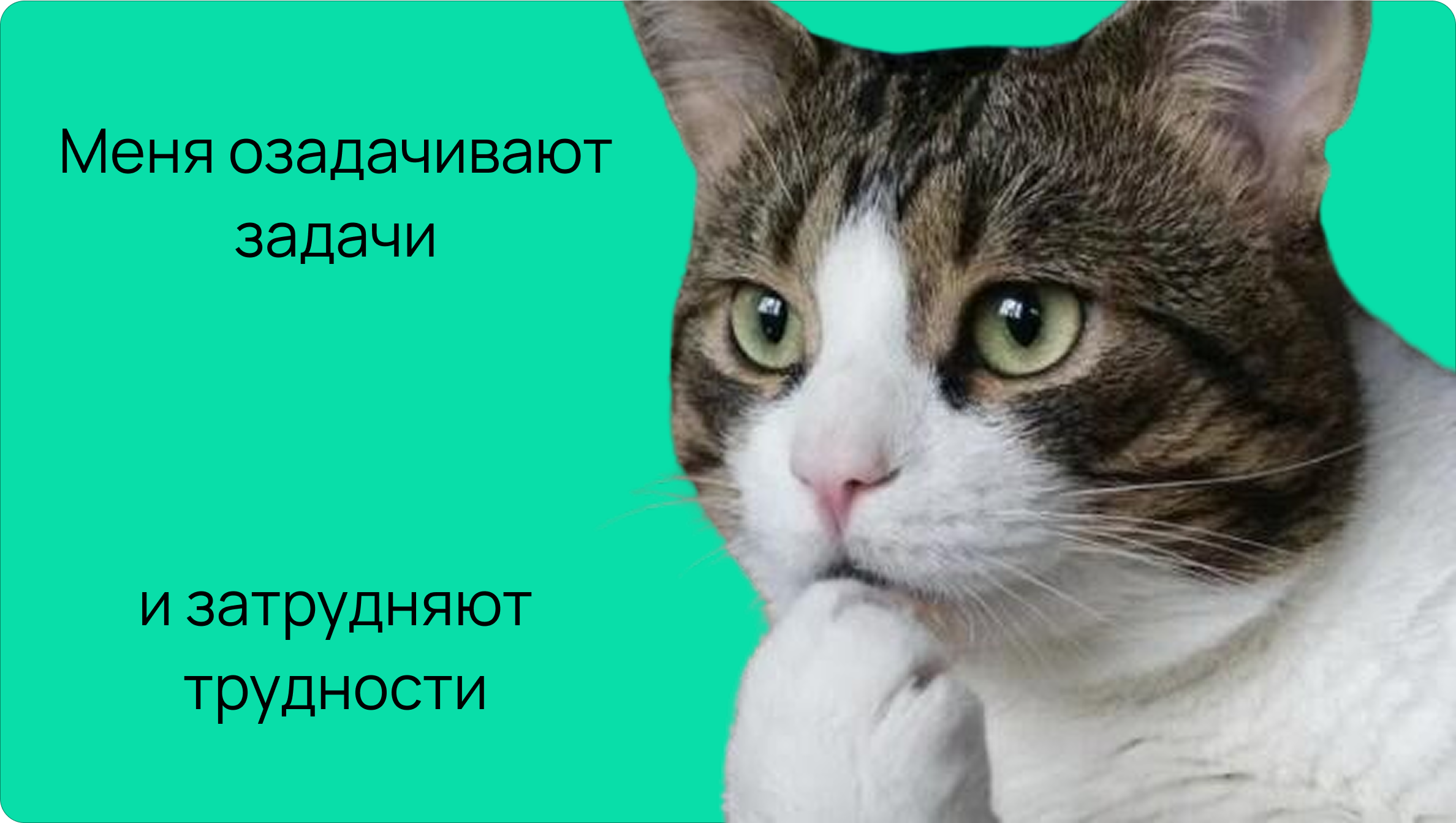 Кот задумался о рабочем времени Как вести учёт рабочего времени
