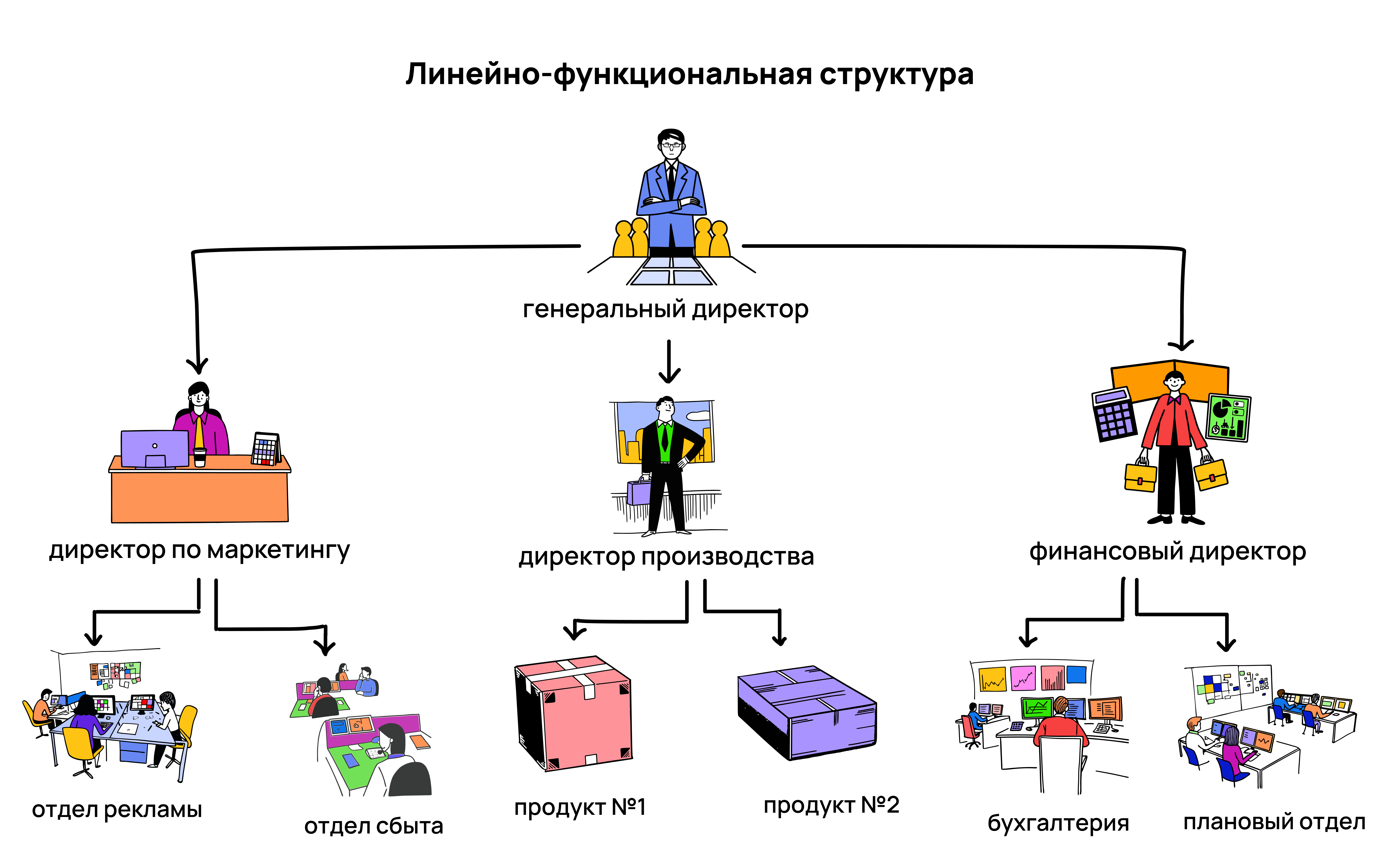 Визуальный пример линейно-функциональной структуры Что такое линейно-функциональная структура