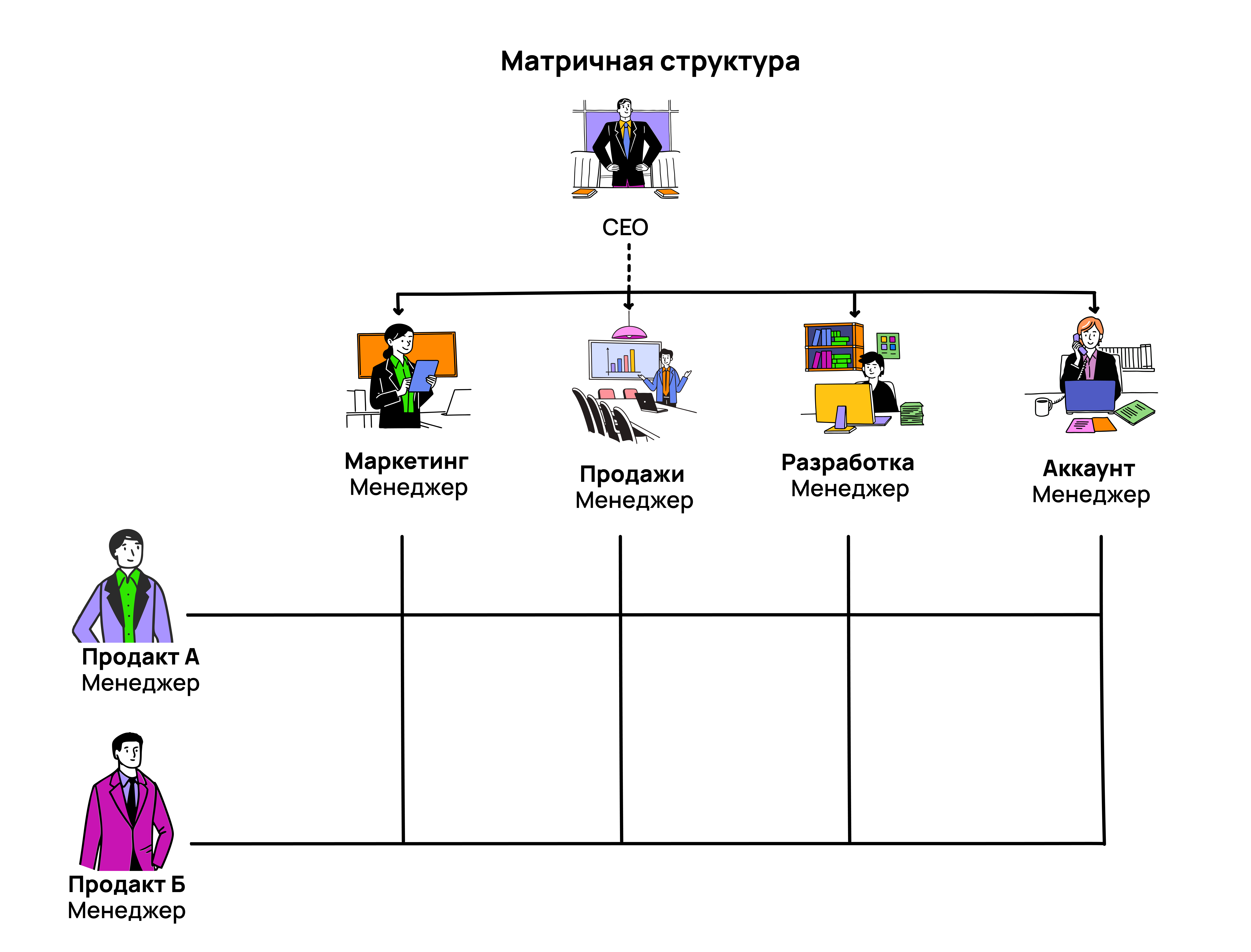 Визуальный пример матричной структуры компании Что такое матричная структура компании