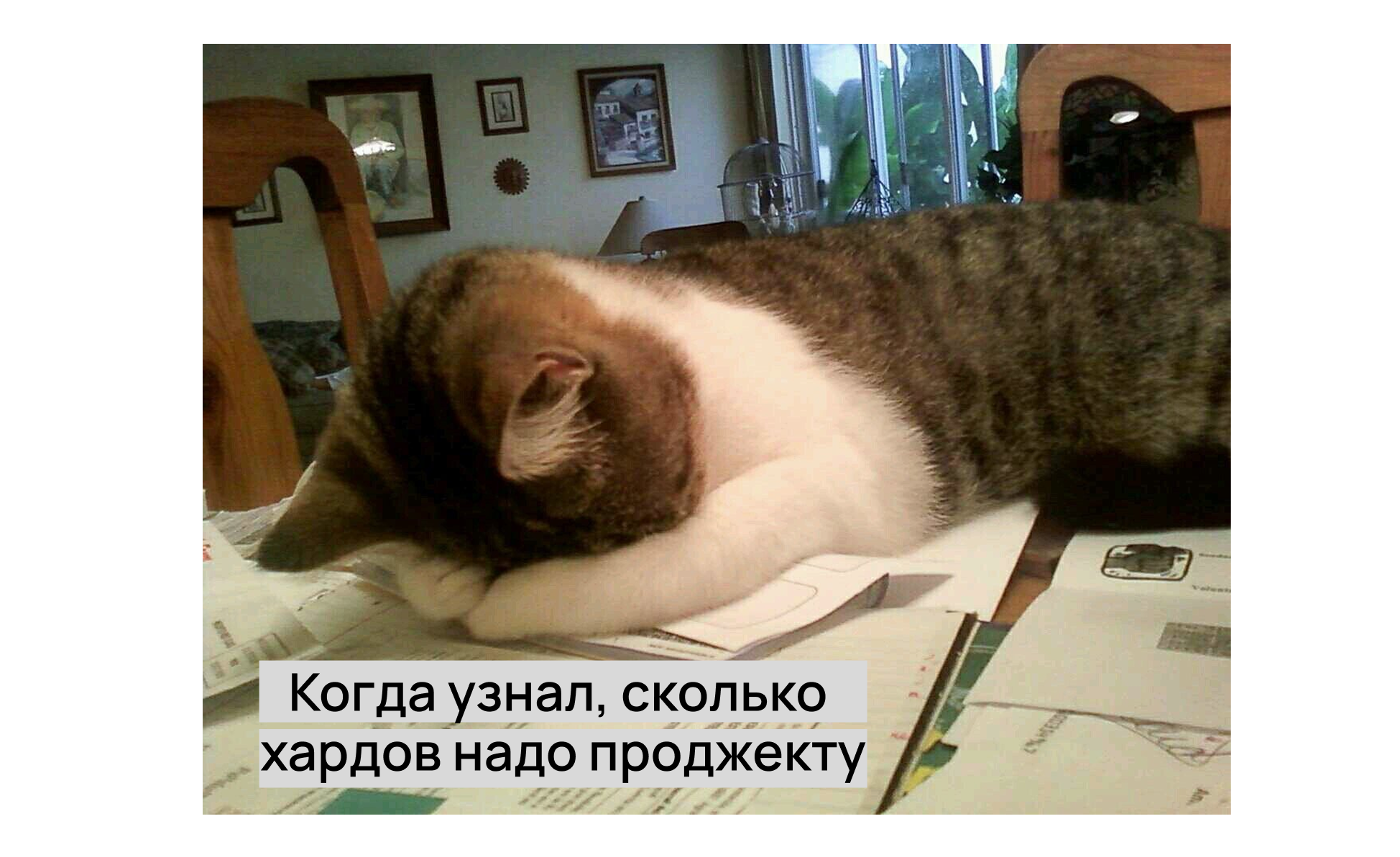 Мем про проджект-менеджера Мем про проджект-менеджера