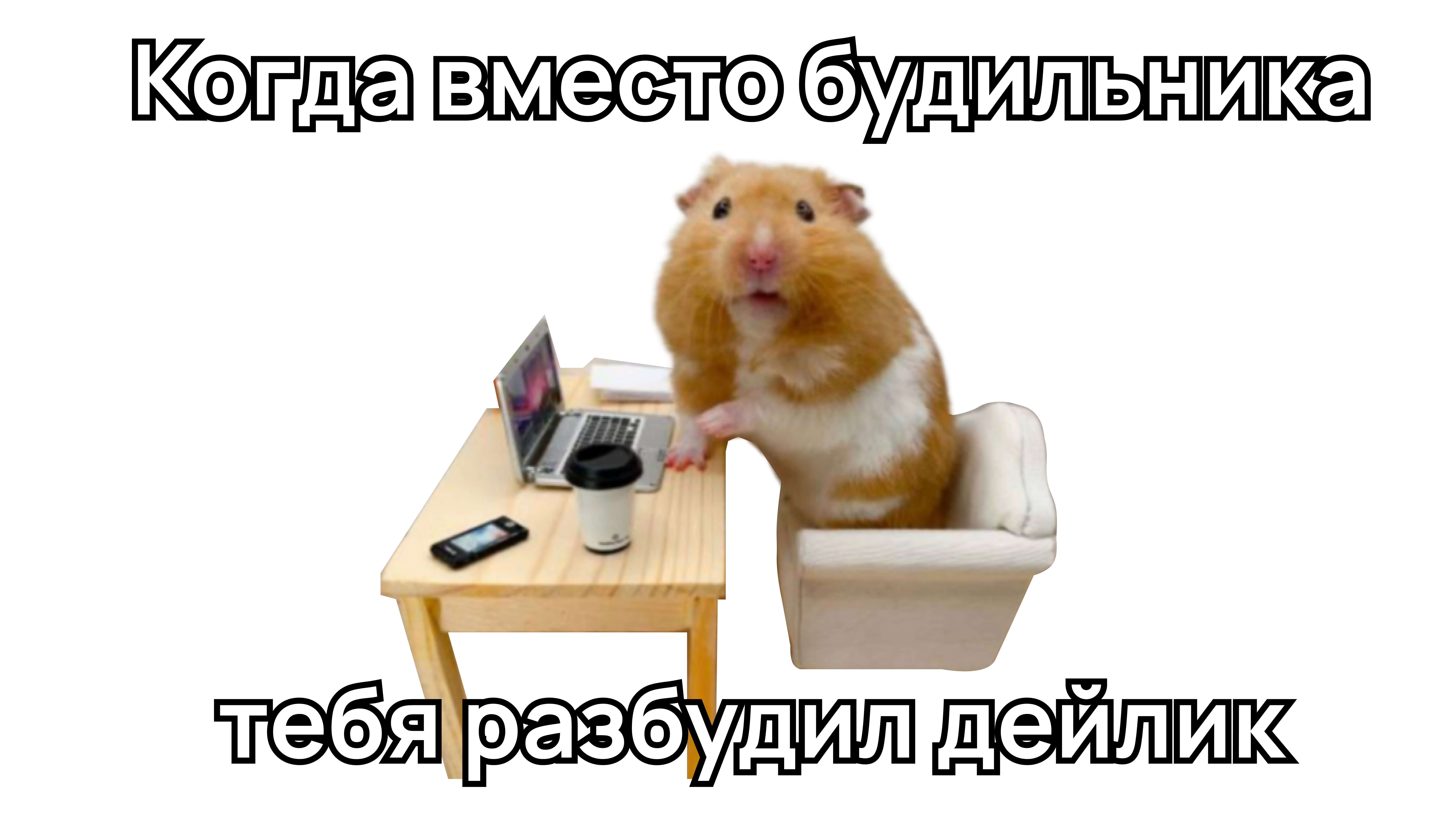 Церемонии в скраме мем Мем хомяка разбудил дейлик
