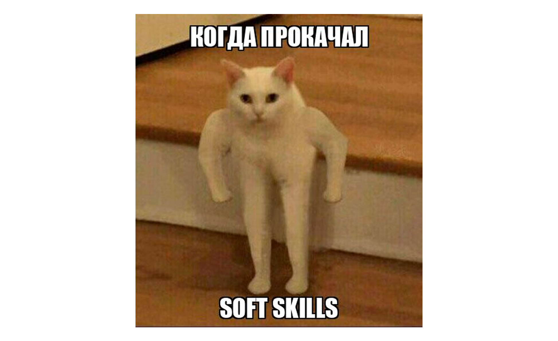 Мем про soft skills Мем про soft skills